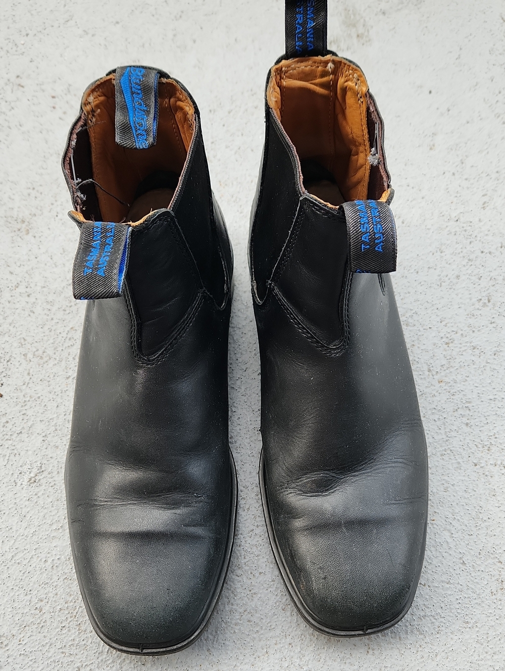 Blundstone Black Leather Chukka Boots with Tan Lining